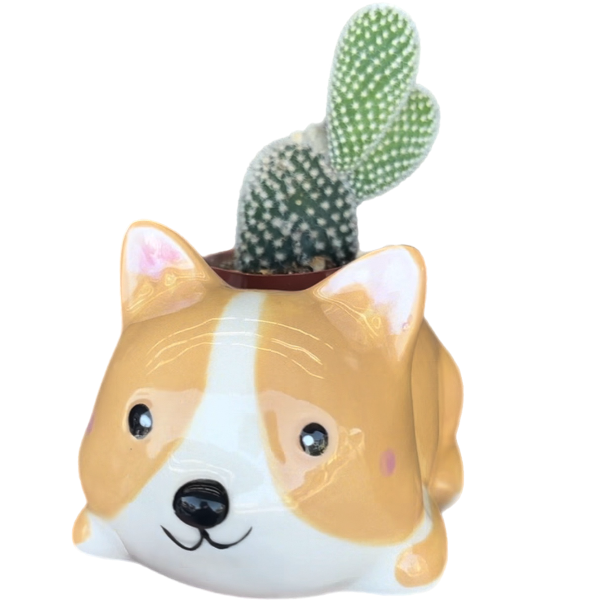 Dog Pet Pot