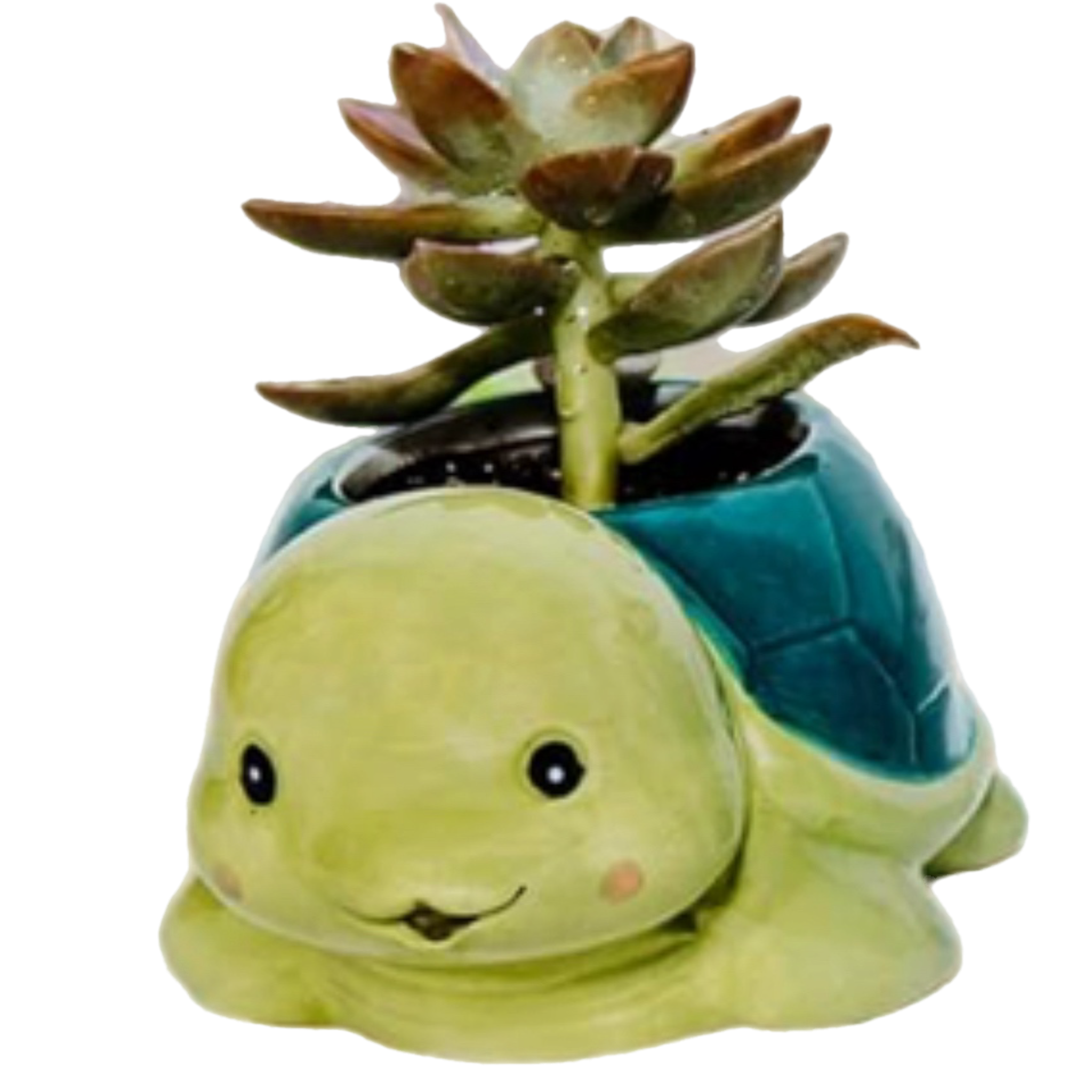 Turtle Pet Pot