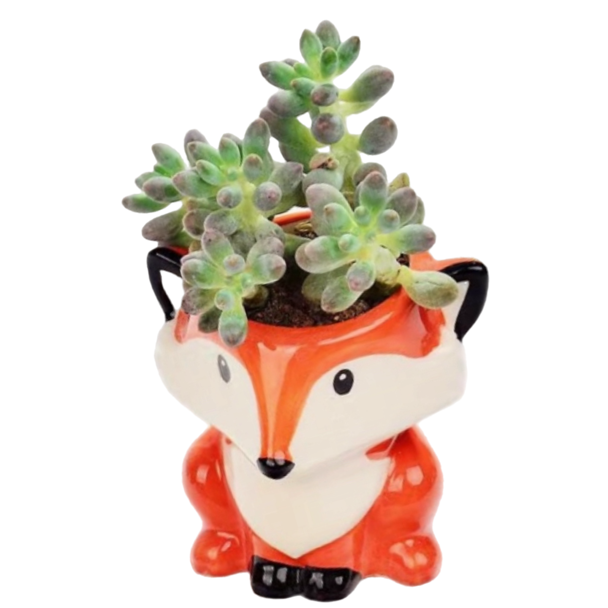 Fox Pet Pot